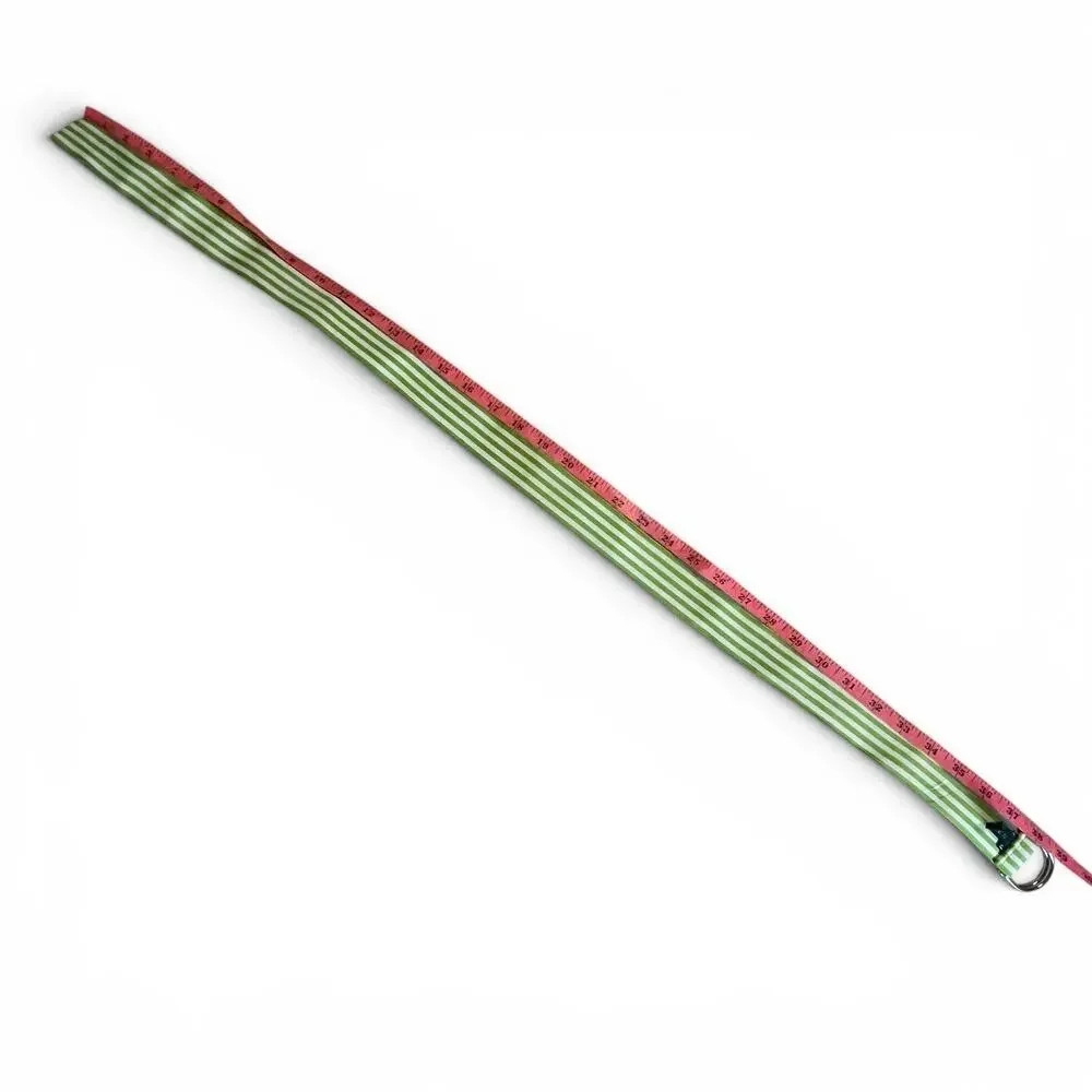 Vintage Lauren Ralph Lauren Ribbon D Ring Belt 38”Length USA Y2K Green Striped